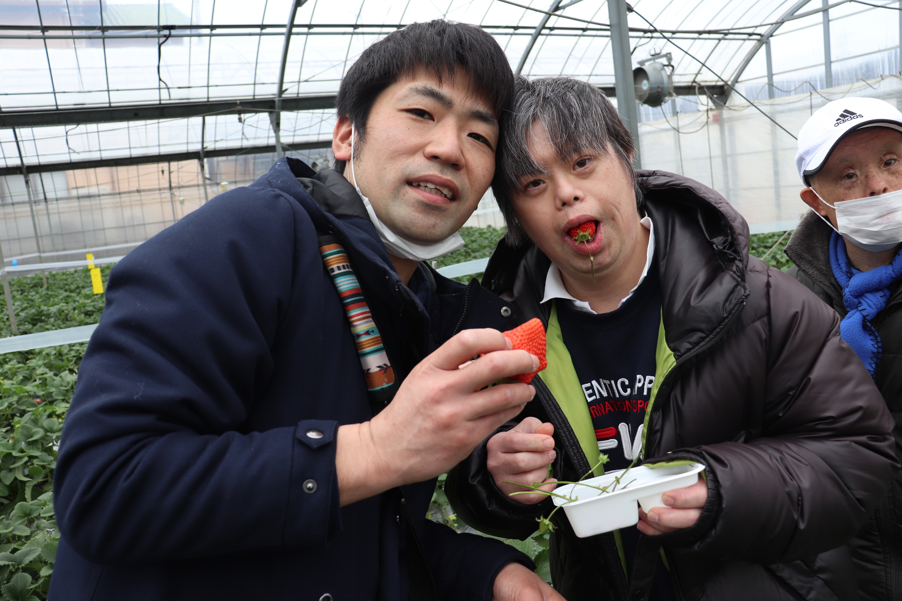 就労センターしらね 日帰りイチゴ狩り外出へ行ってきました!!