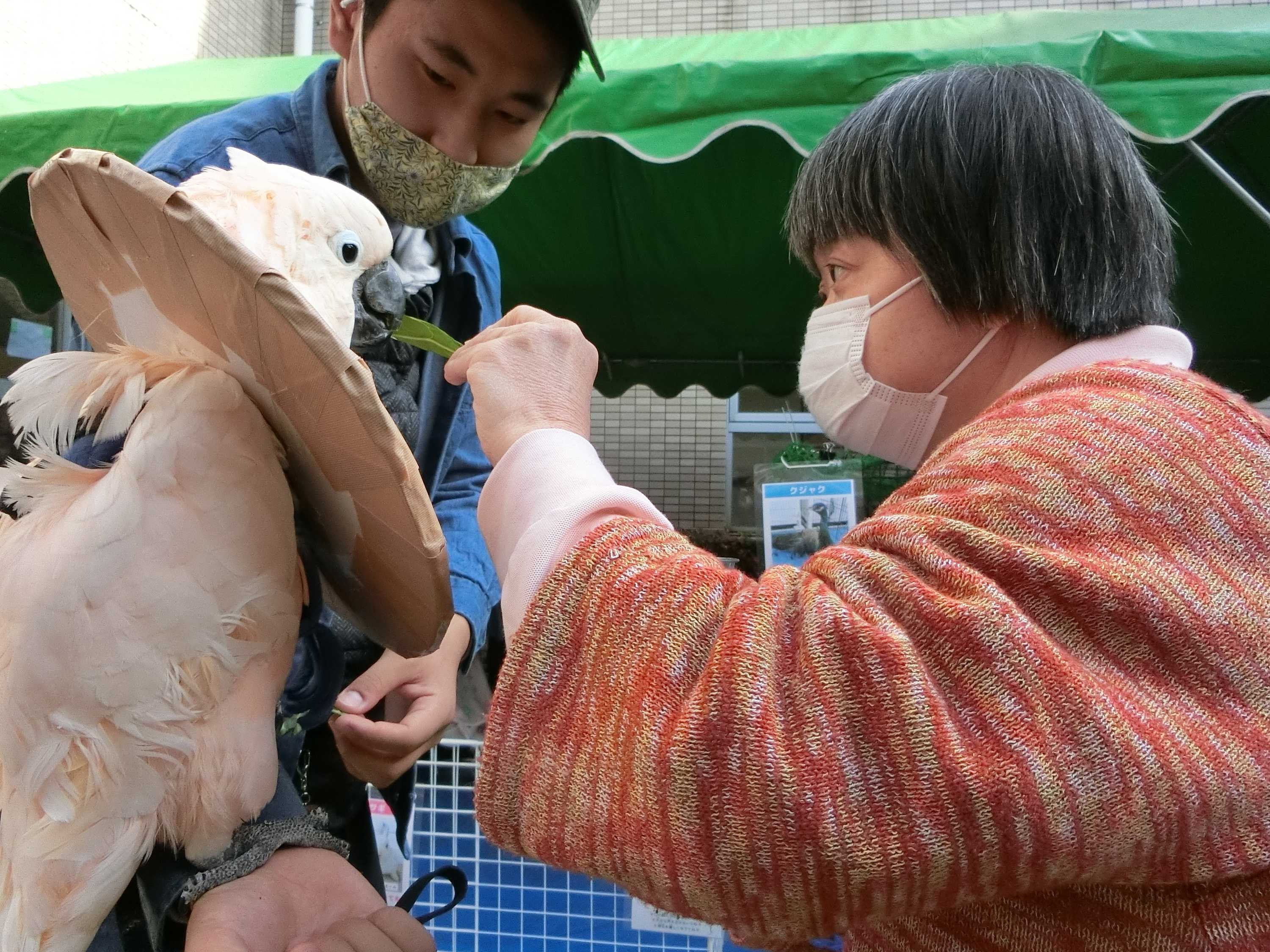 日帰り旅行（しらねの里）