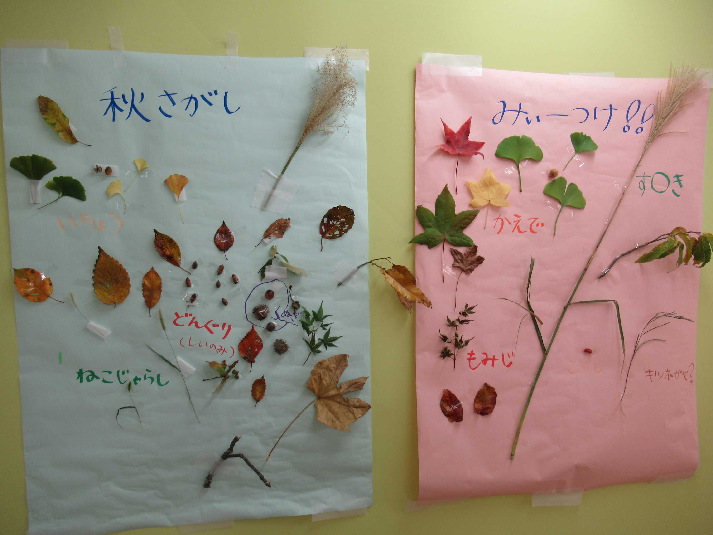 秋まつり（しらねの里・げんき）