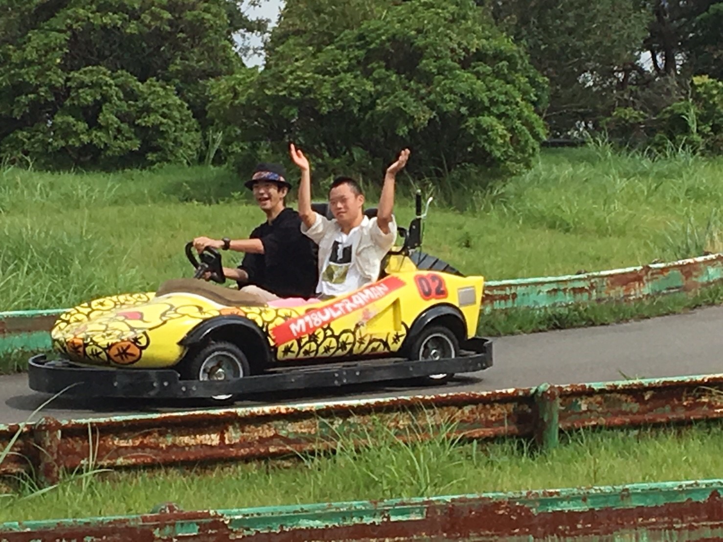 ぶどうの実　夏旅行