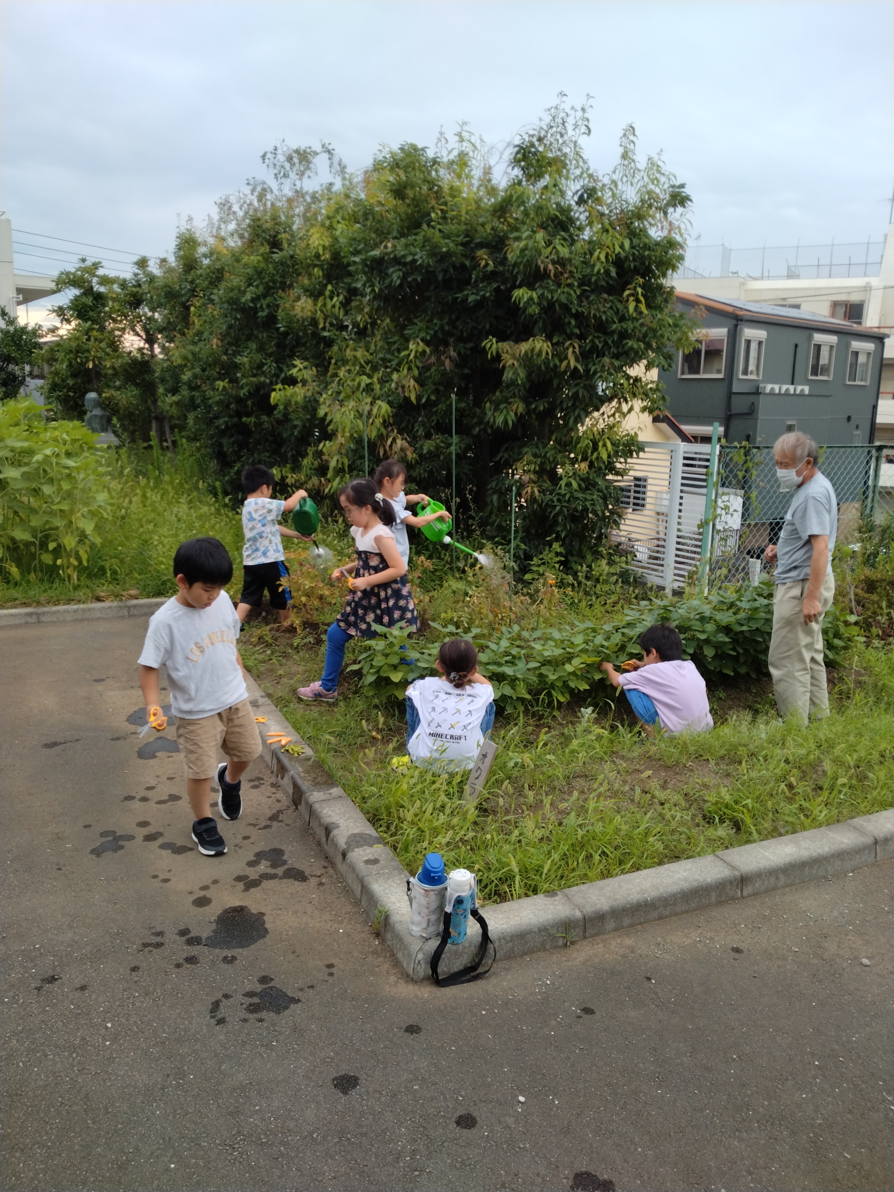 放課後等デイサービス  お野菜育てました☆