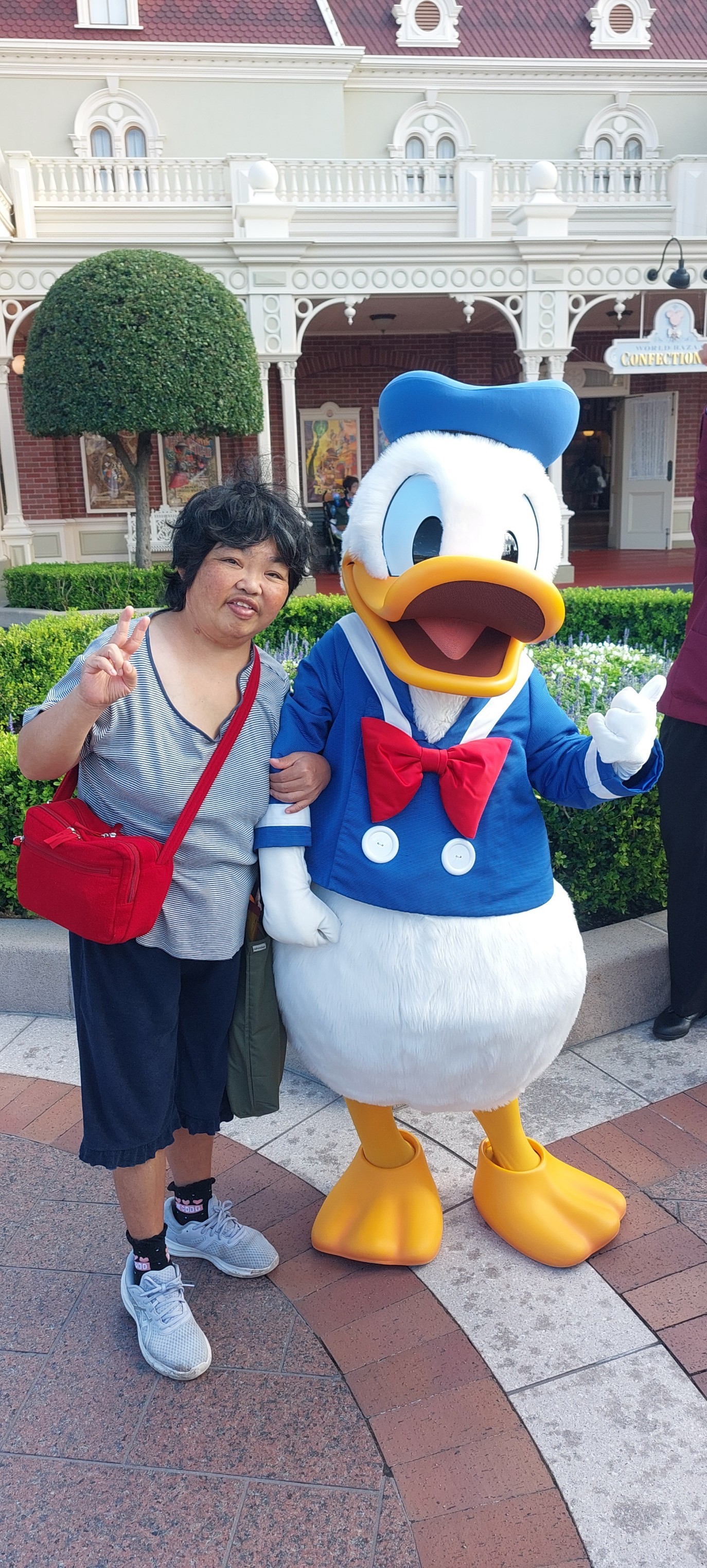 ホーム歩日帰り旅行「ディズニーランド」