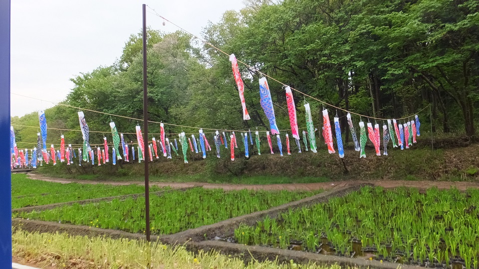 しらねの里・げんき　里山ガーデンを散歩してきました。